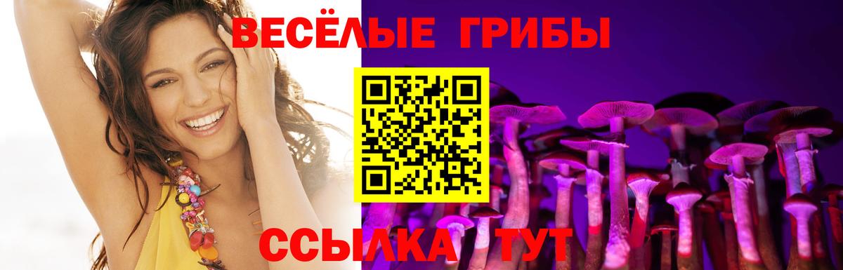 Краснокаменск  Галлюциногенные грибы Cubensis  Вход с VPN  Псилоцибиновые грибы MAGIC MUSHROOMS 
